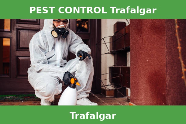 PEST CONTROL Trafalgar
